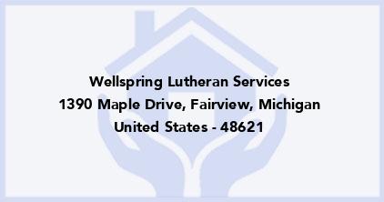 wellspring lutheran services logo 43931